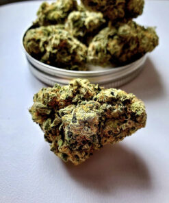 Sour Diesel cannabis strain with green buds and orange hairs