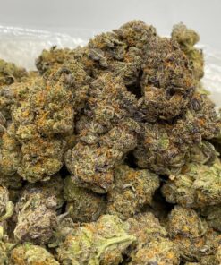 Granddaddy Purple cannabis strain buds with purple hues and orange hairs