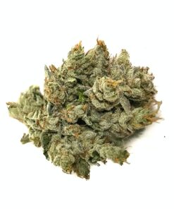 Skywalker OG Kush strain dense green buds with orange hairs and frosty trichomes