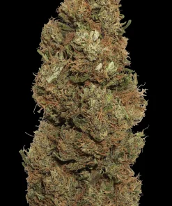 Close-up of Cherry Abacus 2.0 CBD Hemp Flower with frosty trichomes and cherry aroma