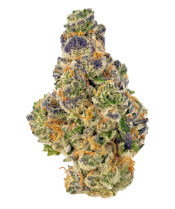 A close-up of Banana Bread cannabis buds, showcasing their rich colors and frosty trichomes.