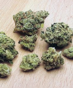 Cali Sunrise Delta 8 Hemp Flower buds with orange pistils and frosty trichomes