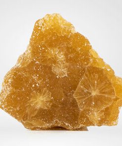 A beautiful piece of Girl Scout Cookies CBD Wax, showcasing its golden hue and crumbly texture, perfect for dabbing or vaporizing.
