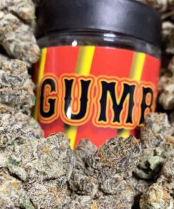 Gumbo Strain