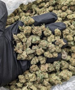 Churro Strain cannabis buds with frosty trichomes and cinnamon-sweet aroma