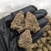 Mac 1 strain cannabis buds covered in frosty white trichomes with purple accents.