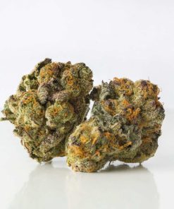 Close-up of dense, trichome-covered Gelato Cake cannabis buds